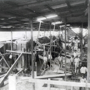 Imagens da Construção do Palácio (1)