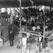 Imagens da Construção do Palácio (2)